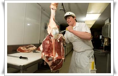 Butcher-or-Smallgoods-Maker-Excluding-the-activity-of-slaughtering-animals-or-primarily-boning-slicing-or-packaging-meat-in-a-non-retail-setting